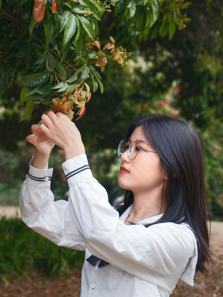 一些小美好正在井然有序的发生着