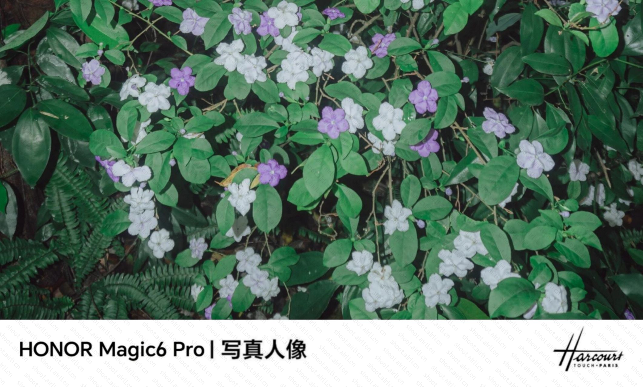 相机喜欢镜头里的每个故事