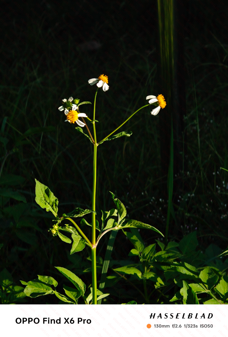光所到之处 万物便有了灵魂和棱角