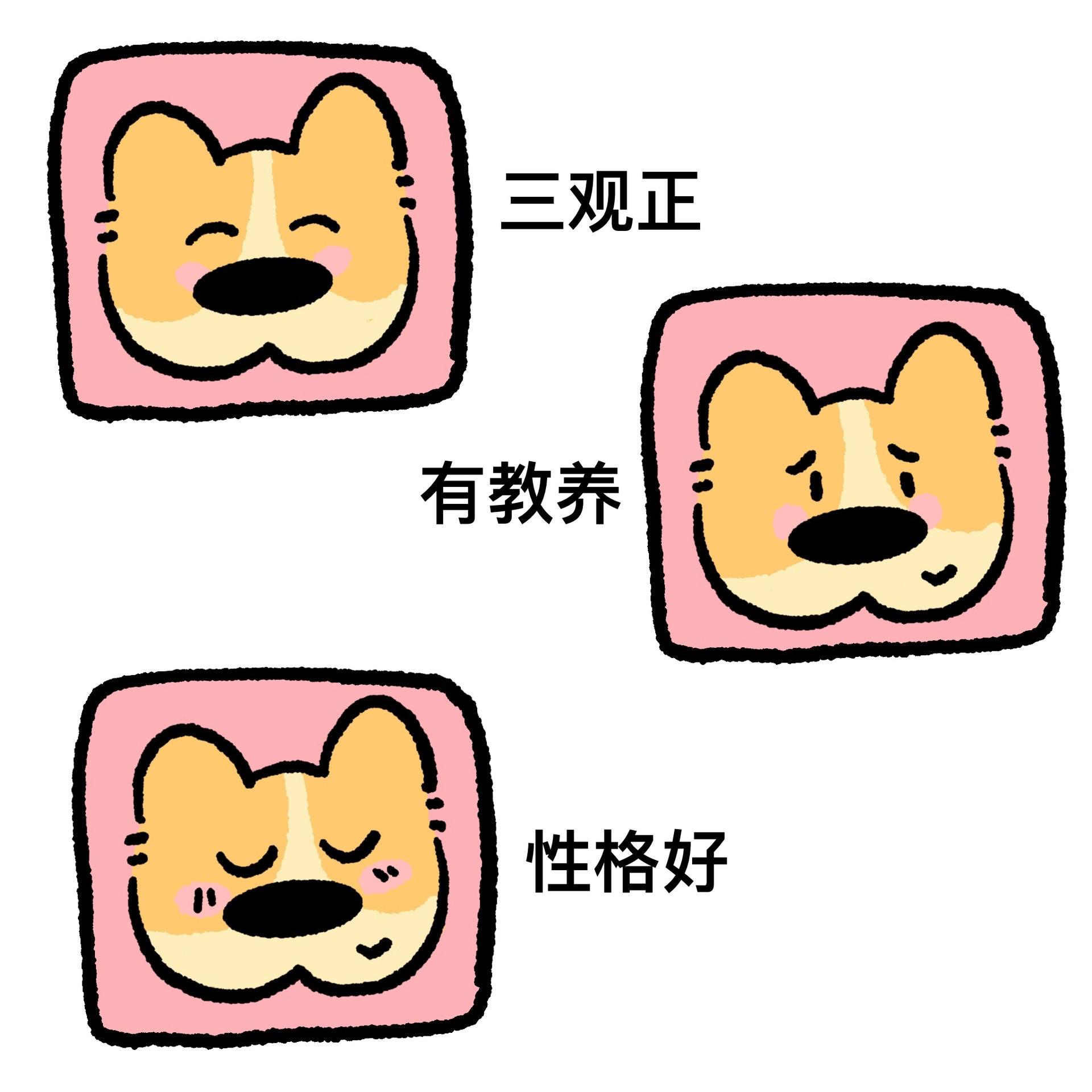 在喜欢的状态里生活